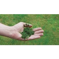 Einhell GC-PM 56/2 S HW Image #6