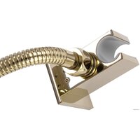 Rea Fenix REA-P8401 (золотой) Image #4