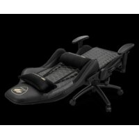 Cougar OUTRIDER Royal Image #5