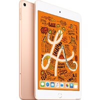 Apple iPad mini 2019 64GB LTE MUX72 (золотой) Image #2