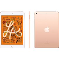 Apple iPad mini 2019 64GB LTE MUX72 (золотой) Image #3