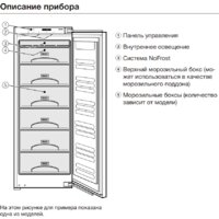 Miele FNS 37402 i Image #5
