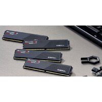 G.Skill Ripjaws S5 2x64ГБ DDR5 6000 МГц F5-6000J3444F64GX2-RS5K Image #5