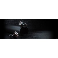 FiiO FH5s (черный) Image #12