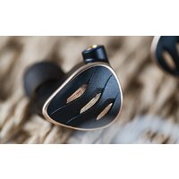 FiiO FH5s (черный) Image #11