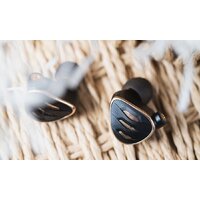 FiiO FH5s (черный) Image #10