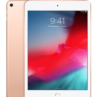 Apple iPad mini 2019 256GB MUU62 (золотой)