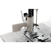 Jaguar Voyage Image #8