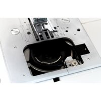 Jaguar Voyage Image #7