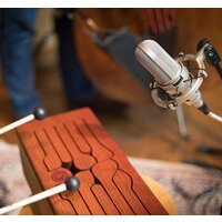 Audio-Technica AT4080 Image #6