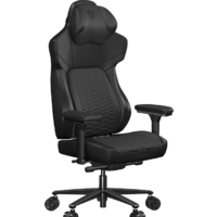 ThunderX3 Core Racer (черный)