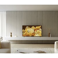 Sony Bravia X90L XR-75X90 Image #10