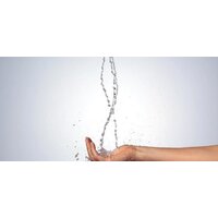 Hansgrohe Raindance Select S 120 27648000 (хром) Image #4